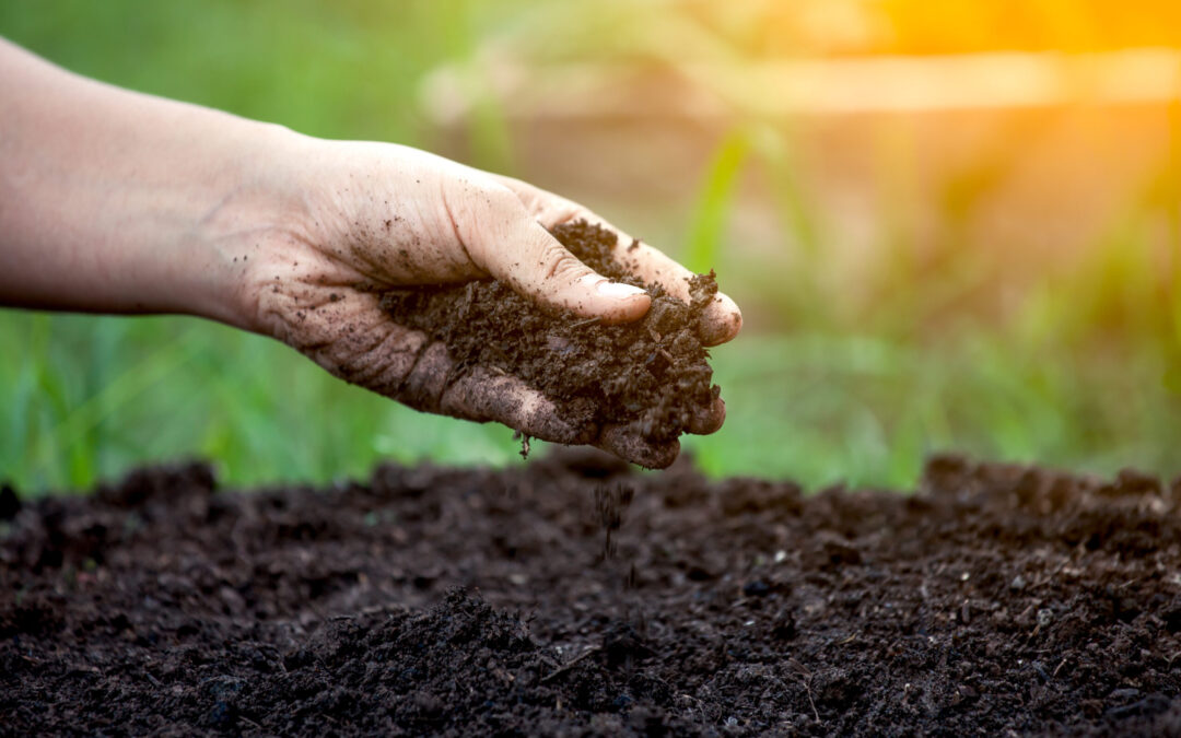 Soil Test And Site Survey: Why You Need Them